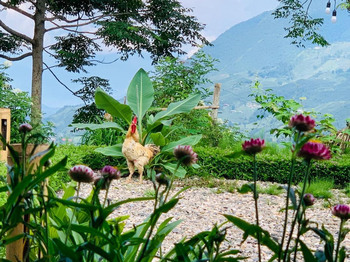 Sapa Rosie House Hotel ภายนอก รูปภาพ