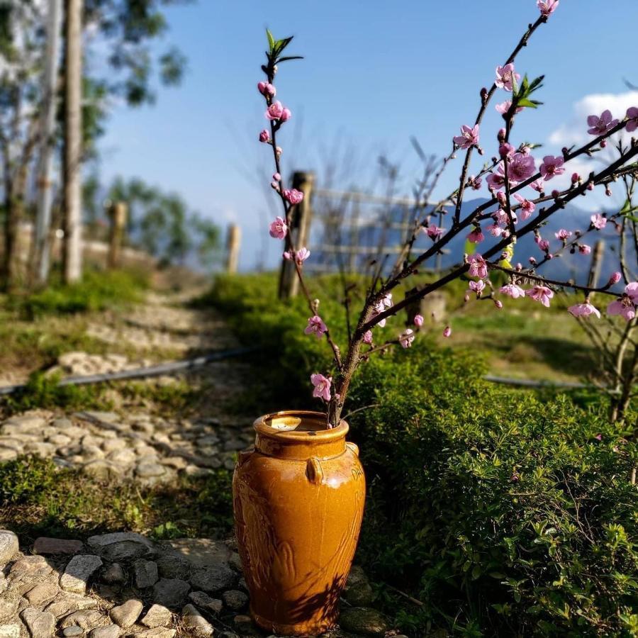Sapa Rosie House Hotel ภายนอก รูปภาพ